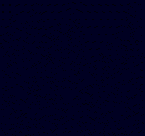 F1 fotodesign