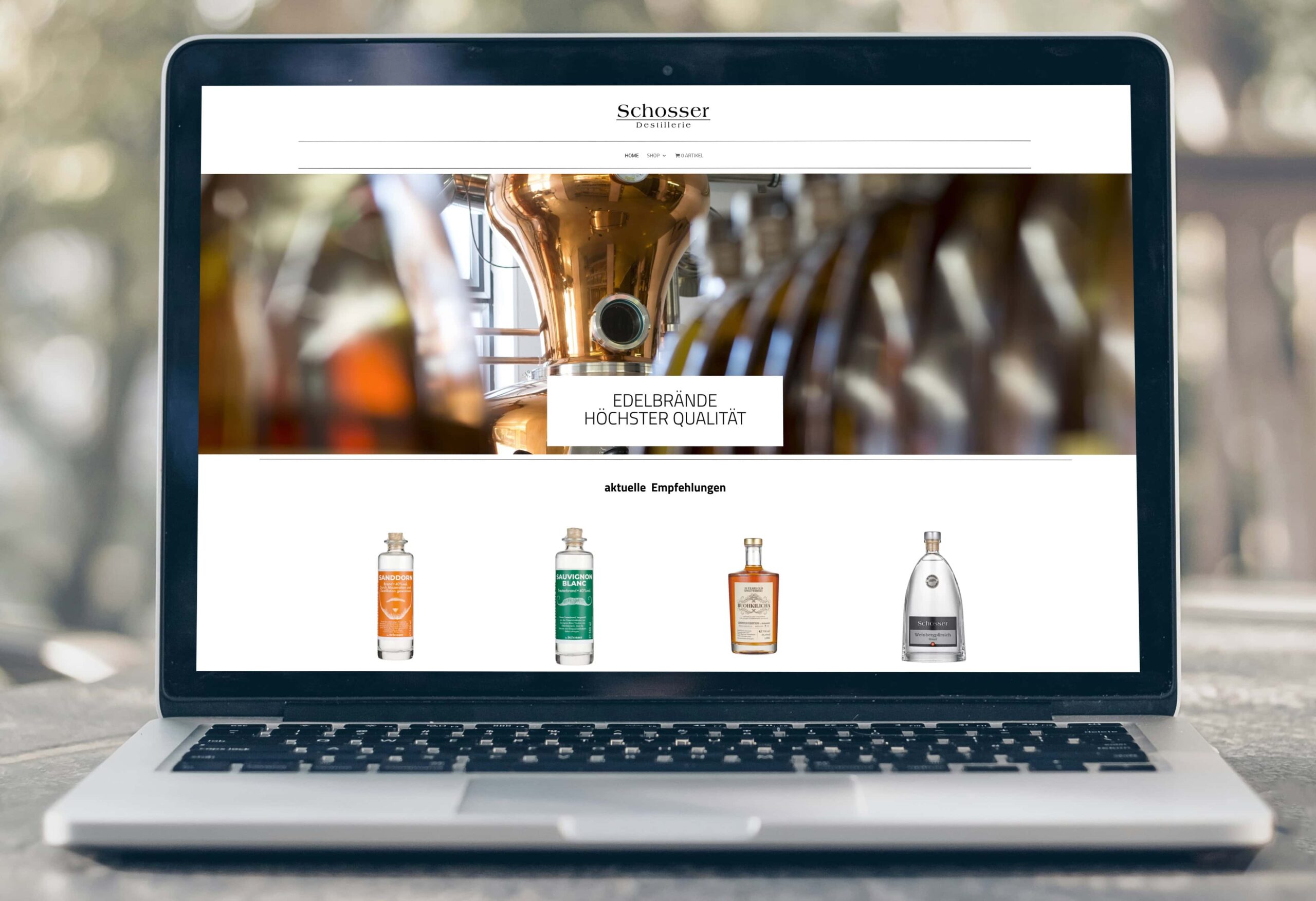 Webdesign_Schosser